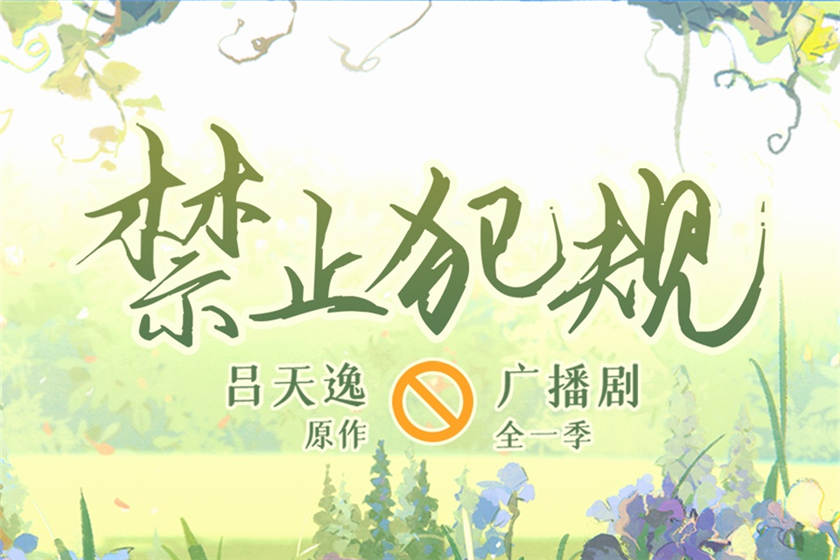 禁止犯规广播剧封面